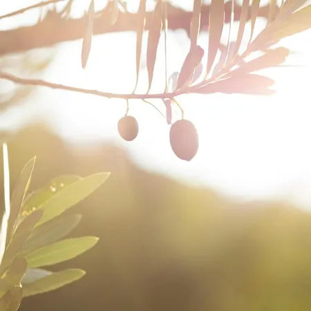 Lägenhet Huberhof Merano